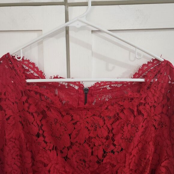 Lane Bryant Red Scallop Edge Fit And Flare Lined Lace Overlay Dress Size 18 - Picture 3 of 8